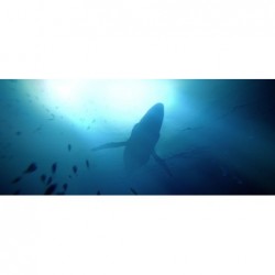 Sous les vagues - PlayStation 5